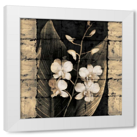 Orchids in Bloom I White Modern Wood Framed Art Print by Seba, John