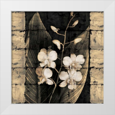Orchids in Bloom I White Modern Wood Framed Art Print by Seba, John