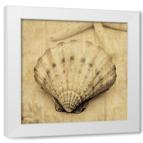 Scallop White Modern Wood Framed Art Print by Seba, John