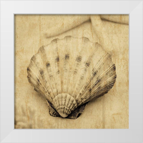 Scallop White Modern Wood Framed Art Print by Seba, John