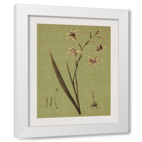 Botanica Verde IV White Modern Wood Framed Art Print by Seba, John