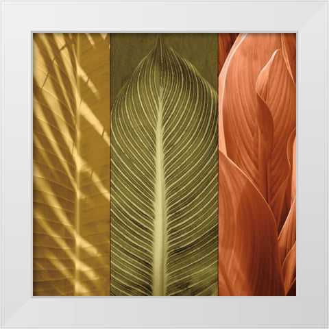 Tropical Trio II White Modern Wood Framed Art Print by Seba, John