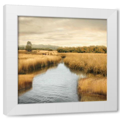 Morning Calm I White Modern Wood Framed Art Print by Seba, John