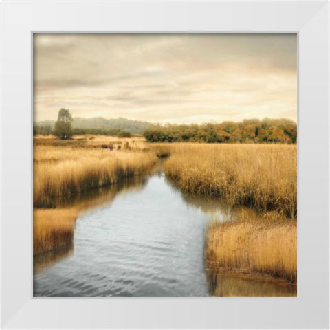 Morning Calm I White Modern Wood Framed Art Print by Seba, John