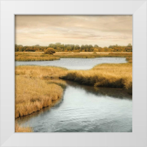 Morning Calm II White Modern Wood Framed Art Print by Seba, John