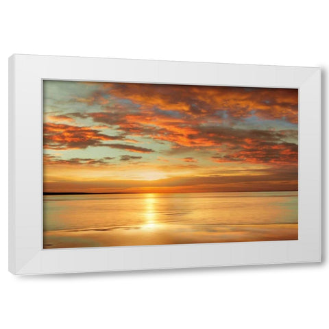 Sunlit White Modern Wood Framed Art Print by Seba, John
