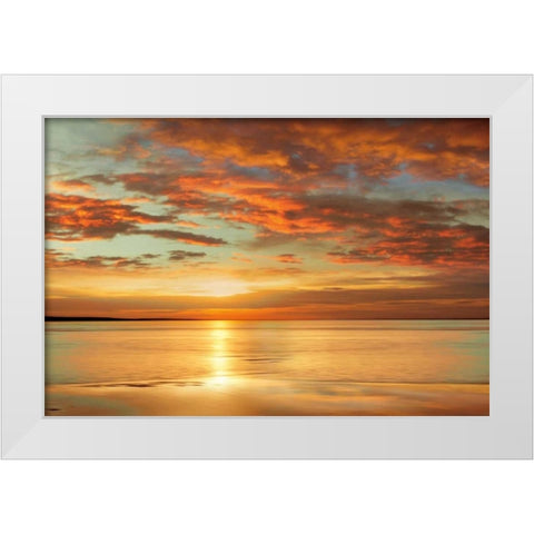 Sunlit White Modern Wood Framed Art Print by Seba, John