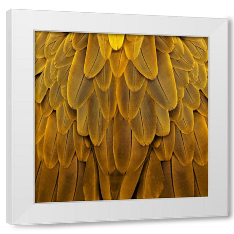 Feathered Friend - Golden White Modern Wood Framed Art Print by Bosco, Julia