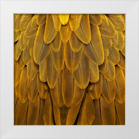 Feathered Friend - Golden White Modern Wood Framed Art Print by Bosco, Julia
