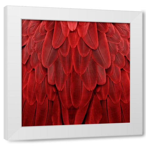 Feathered Friend - Red White Modern Wood Framed Art Print by Bosco, Julia