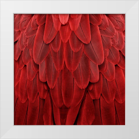 Feathered Friend - Red White Modern Wood Framed Art Print by Bosco, Julia