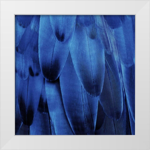 Feathered Friend - Indigo White Modern Wood Framed Art Print by Bosco, Julia