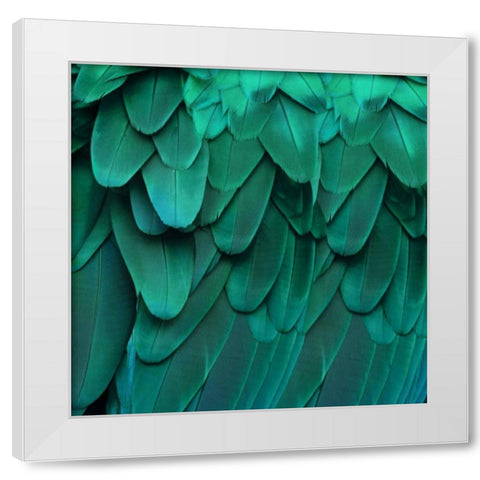Feathered Friend - Aqua White Modern Wood Framed Art Print by Bosco, Julia