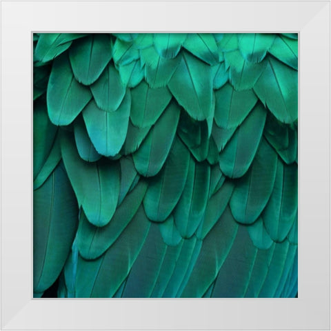 Feathered Friend - Aqua White Modern Wood Framed Art Print by Bosco, Julia