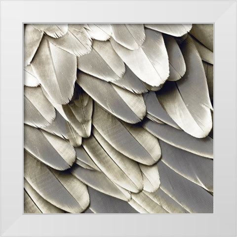Feathered Friend - Pearl II White Modern Wood Framed Art Print by Bosco, Julia