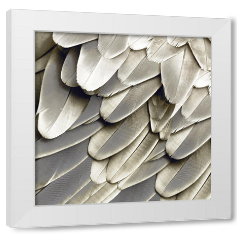 Feathered Friend - Pearl III White Modern Wood Framed Art Print by Bosco, Julia