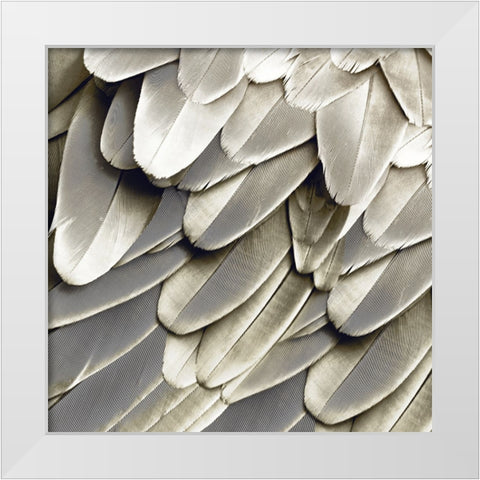 Feathered Friend - Pearl III White Modern Wood Framed Art Print by Bosco, Julia