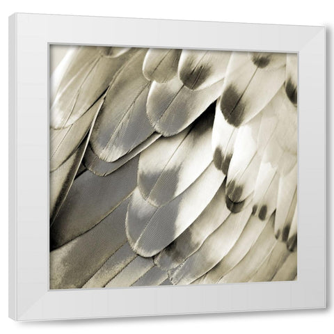 Feathered Friend - Pearl IV White Modern Wood Framed Art Print by Bosco, Julia