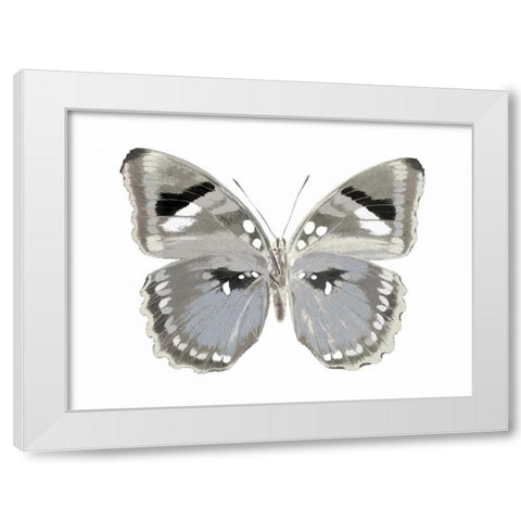 Butterfly in Grey II White Modern Wood Framed Art Print by Bosco, Julia