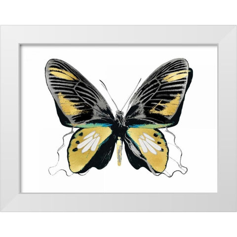 Vibrant Butterfly VI White Modern Wood Framed Art Print by Bosco, Julia