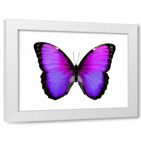 Vibrant Butterfly IV White Modern Wood Framed Art Print by Bosco, Julia
