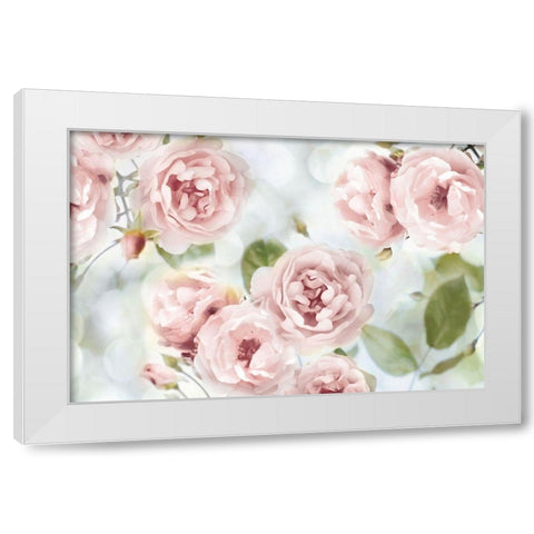 Pink Rose Garden III White Modern Wood Framed Art Print by Lane, Joanna