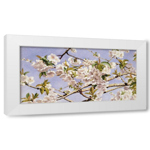 Apple Blossoms White Modern Wood Framed Art Print by Hill, John William
