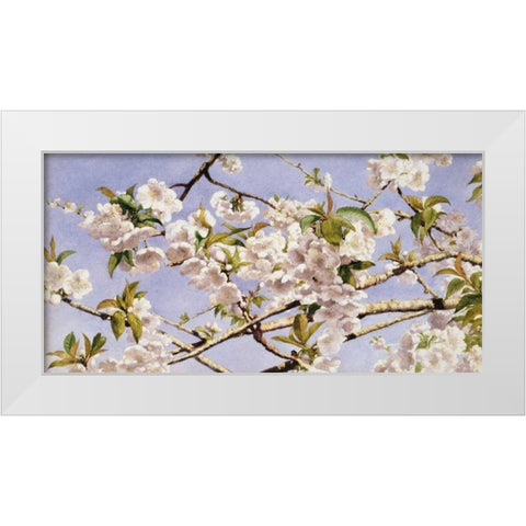 Apple Blossoms White Modern Wood Framed Art Print by Hill, John William