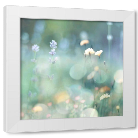 Morning Meadow I White Modern Wood Framed Art Print by Carrigan, Kate