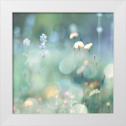 Morning Meadow I White Modern Wood Framed Art Print by Carrigan, Kate