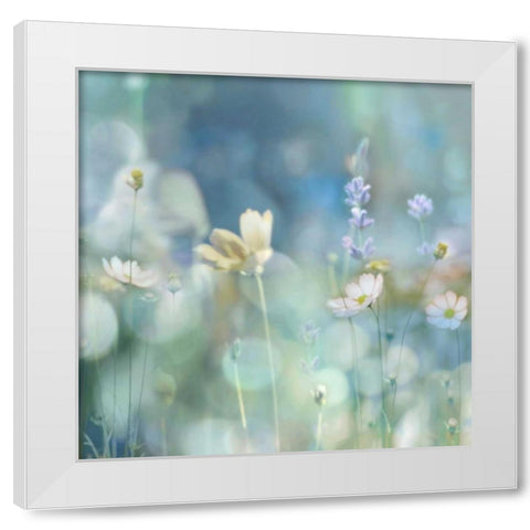 Morning Meadow II White Modern Wood Framed Art Print by Carrigan, Kate