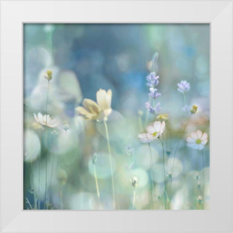Morning Meadow II White Modern Wood Framed Art Print by Carrigan, Kate