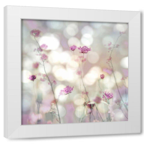 Floral Meadow II White Modern Wood Framed Art Print by Carrigan, Kate