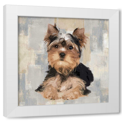 Yorkshire Terrier White Modern Wood Framed Art Print by Rodgers, Keri