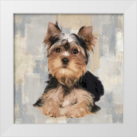 Yorkshire Terrier White Modern Wood Framed Art Print by Rodgers, Keri