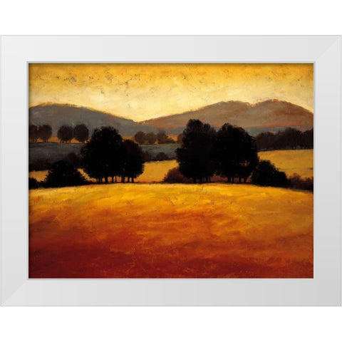 Santa Ynez II White Modern Wood Framed Art Print by Harris, Kevin