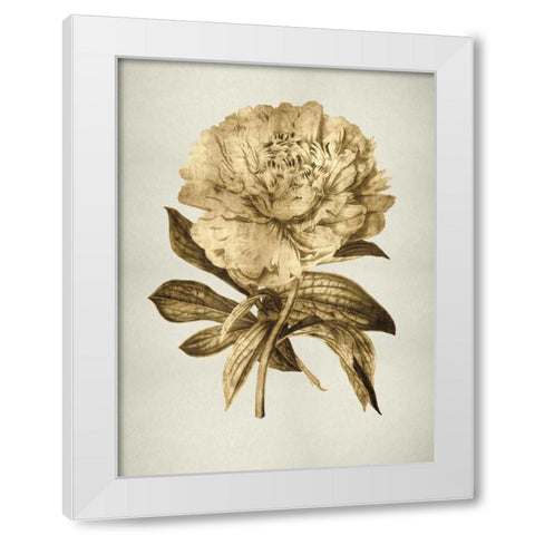 Gold Tulip II White Modern Wood Framed Art Print by Bennett, Kate