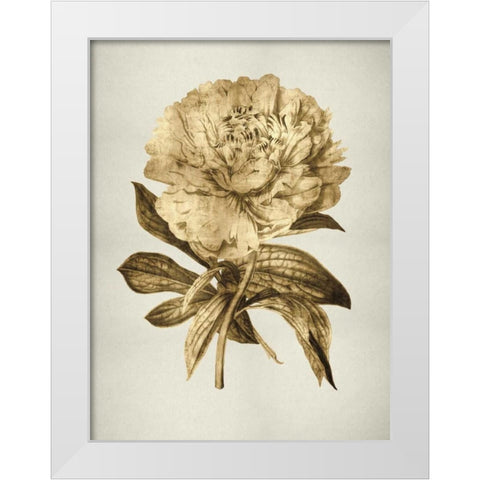Gold Tulip II White Modern Wood Framed Art Print by Bennett, Kate