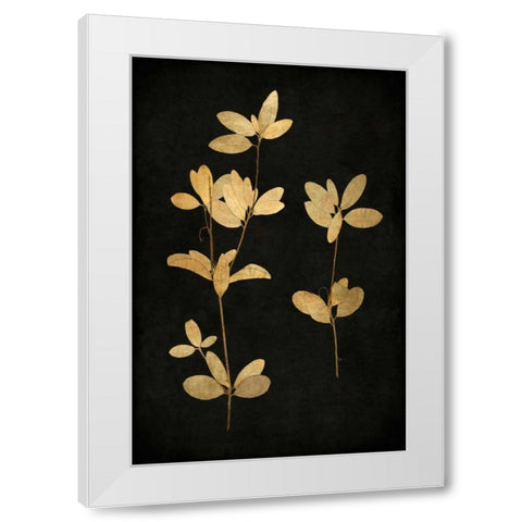 Golden Nature IV White Modern Wood Framed Art Print by Bennett, Kate