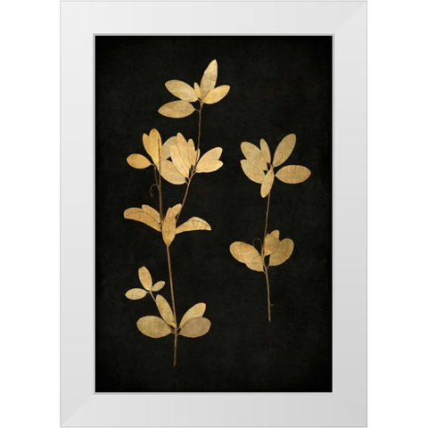 Golden Nature IV White Modern Wood Framed Art Print by Bennett, Kate