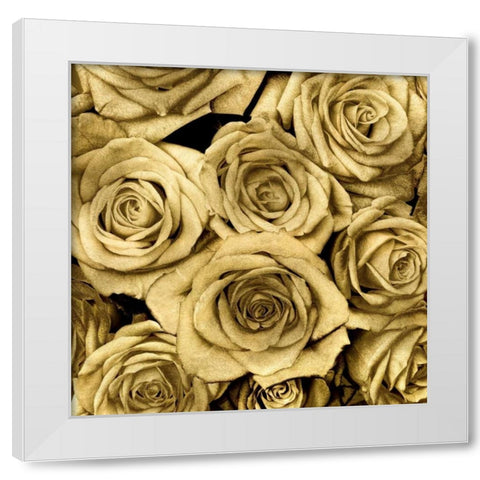 Gold Roses White Modern Wood Framed Art Print by Bennett, Kate