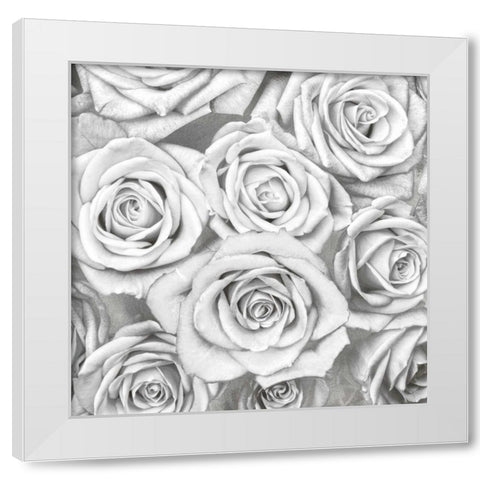 Roses - White on Silver White Modern Wood Framed Art Print by Bennett, Kate