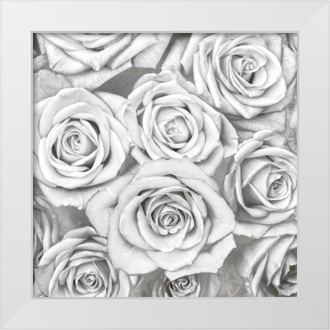 Roses - White on Silver White Modern Wood Framed Art Print by Bennett, Kate