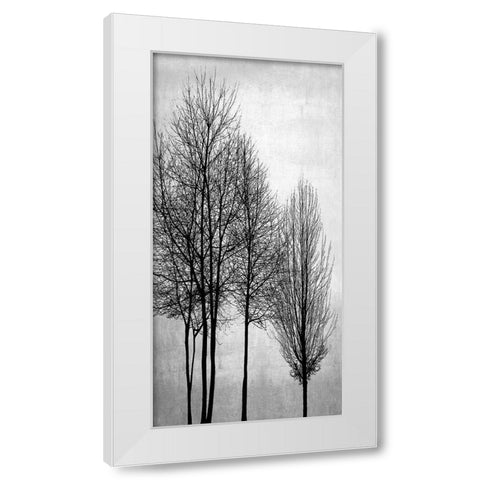 Trees on Silver Panel I White Modern Wood Framed Art Print by Bennett, Kate