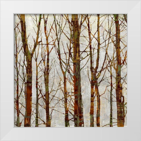 Through The Trees II White Modern Wood Framed Art Print by Webster, Kyle