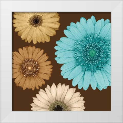 Daisy Quartet II White Modern Wood Framed Art Print by Blake, Lindsay