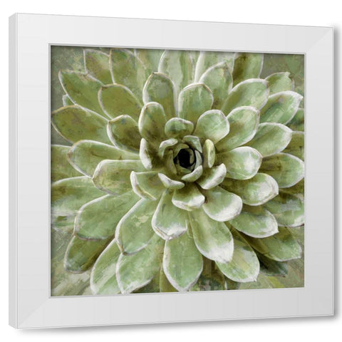 Succulent Verde II White Modern Wood Framed Art Print by Benson, Lindsay
