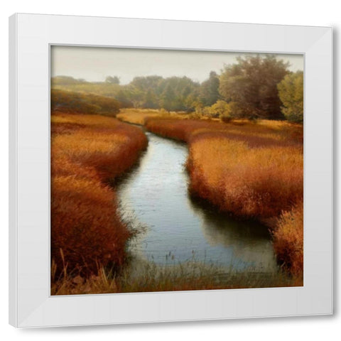 Sunlit Pond I White Modern Wood Framed Art Print by Clark, Madeline