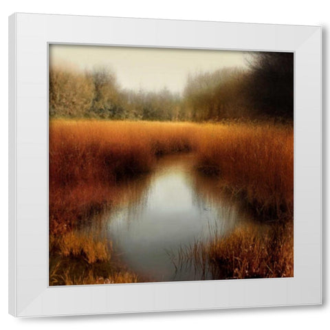 Sunlit Pond II White Modern Wood Framed Art Print by Clark, Madeline