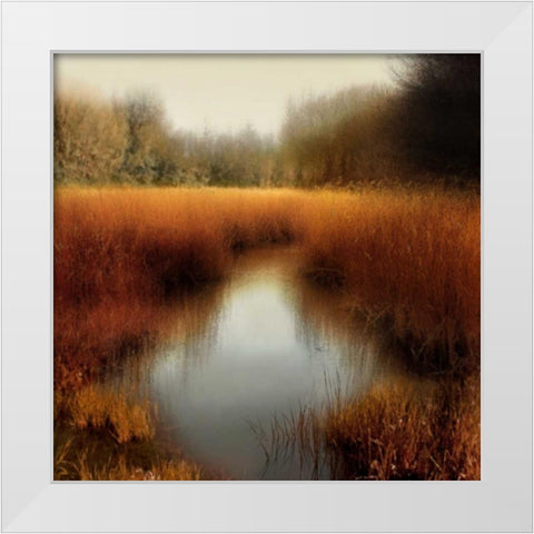 Sunlit Pond II White Modern Wood Framed Art Print by Clark, Madeline